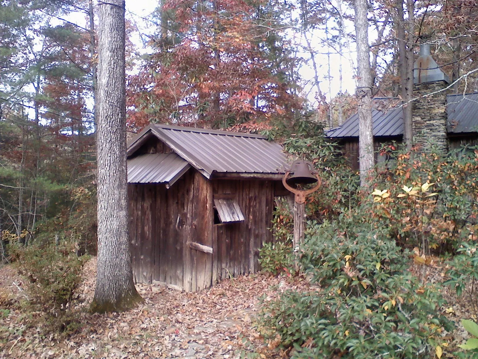 Small metal roof on a rough sawn shed in the woods in West Chicago